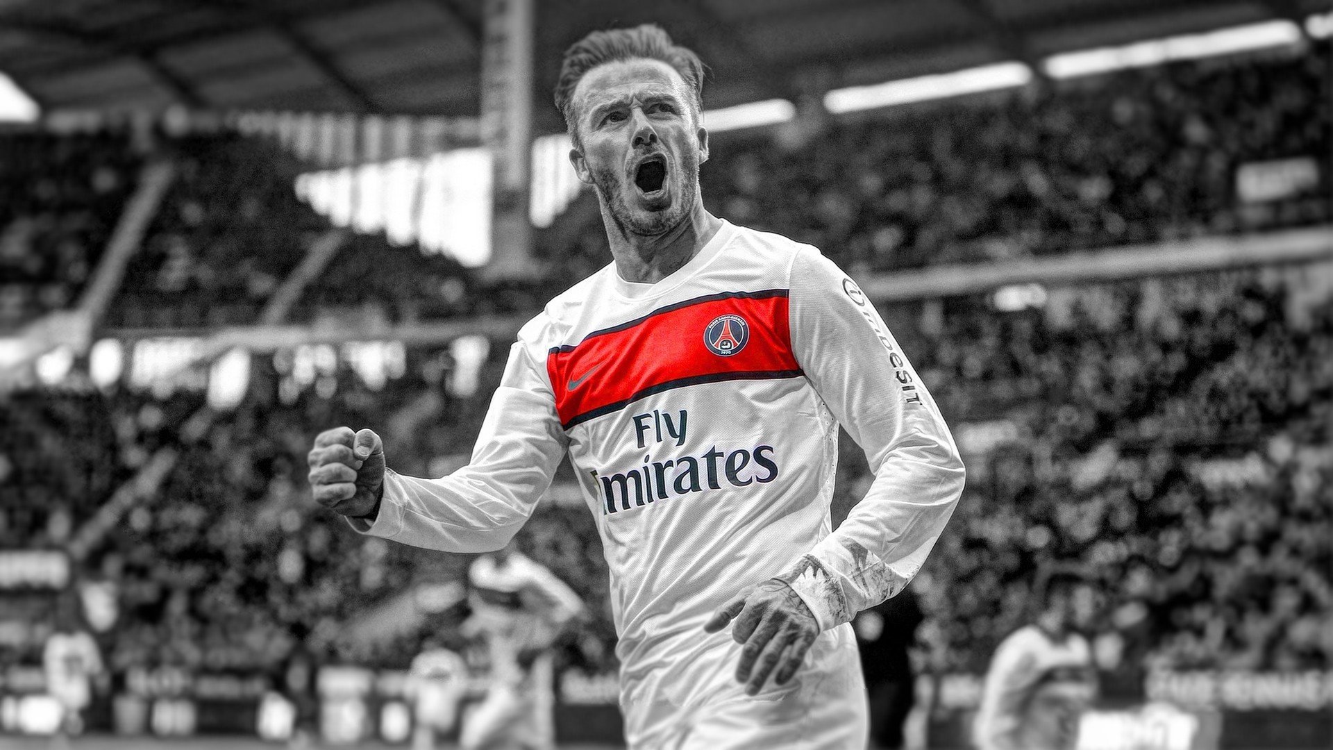 科维托娃CBA外援新规悬念揭晓(亚洲外援评价cba联赛水平)